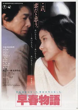 高h视频悬疑剧集长夜回声海报